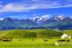 熱熱熱！新疆六大最美的草原，平均溫度只有25度，趕緊避暑去吧！
