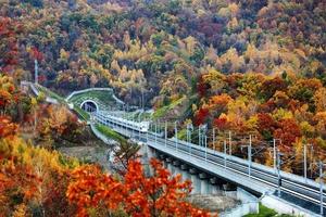 這個秋天從長春出發！東北最美高鐵帶你逛遍吉林省內7站高顏值「天堂」 