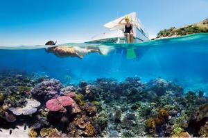 澳大利亞大堡礁，這是世界唯一可以從外太空看到的珊瑚礁生態系統