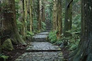 去日本玩，必去的24個超棒景點