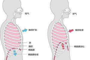 緩解壓力最有效的方法居然如此簡單！你所不知道3種呼吸方法！