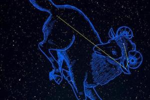 挖個坑試試12星座男神心裡你的真實地位，還有注意點小貼士