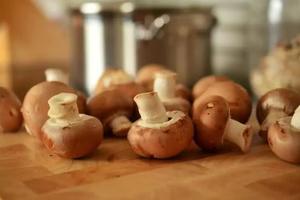 這6種菇你要多吃！養胃降脂又補血，好處多