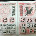 2/2六合彩>>神鷹