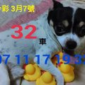 3/7今彩539參考看看