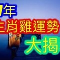 【2017年生肖雞運勢大揭秘！】屬雞的朋友必看！一年運勢盡在掌握中！