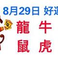 8月29日生肖運勢_龍、牛、猴大吉