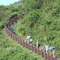 垃圾場變身公園 訪花賞蝶探索海岸林道