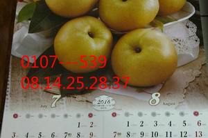 1/7今彩539>>大家參考看看