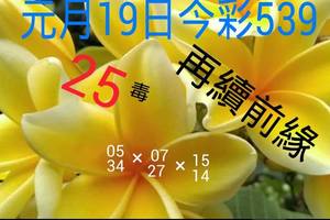1/19今彩539