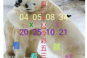 1/20今彩539~~看看就好