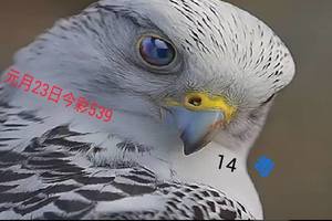 1/23今彩539>>參考看看>>祝大家發財