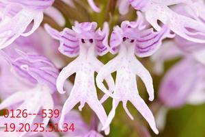 1/26今彩539>>參考看看