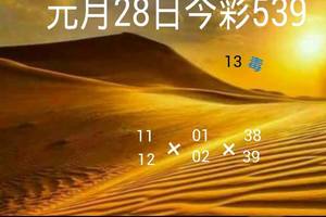 1/28今彩539>>>>僅供參考