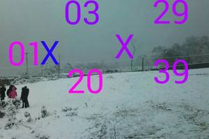 1/28今彩539>>>參考看>>>>>無絕對