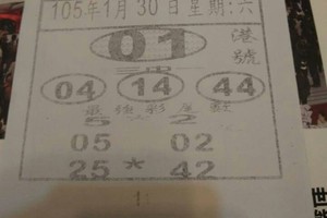 1/30星期六>>>港號參考