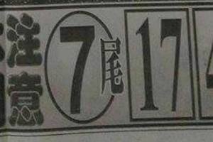 1/30港號>>>>本期7尾