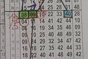 2/2香港六合彩版路參考