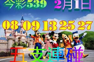 2/1今彩539參考看看