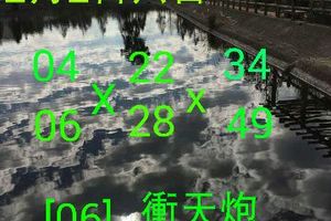 2/2六合彩參考