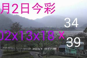 2/2今彩539
