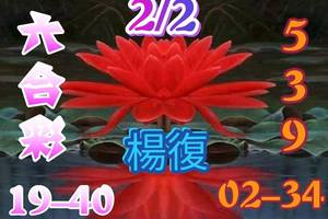 2/2六合彩參考看看