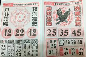 2/2六合彩>>神鷹