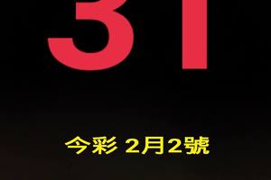 今彩539>>>31孤枝