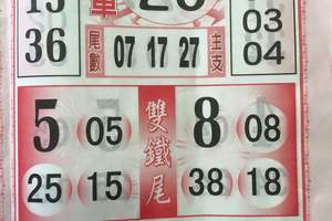 2/3今彩539參考看看