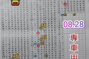 2/4六合彩參考看