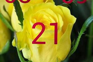 2/4六合彩>>>僅供參考