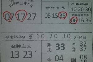 2/4今採539參考看看