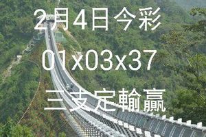 2/4今彩539>>>參考就好