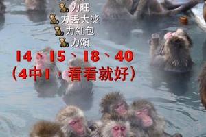 2/4六合彩參考看