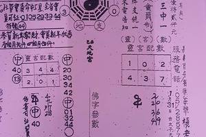 2/7 天地宮>>>>六合彩參考