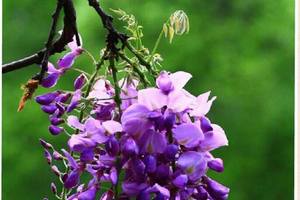 2/7香港六合彩>>>>參考看看