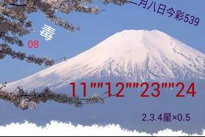 2/6~2/9今彩539參考看