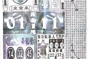 2/9 中國新聞報>>>大樂透參考