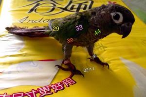 2/11港號>>參考看