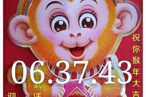 2/11六合彩參考看看