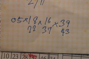 2/11港號>>參考看>>無絕對