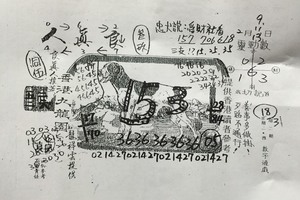 2/13 香港九龍園 -六合彩參考