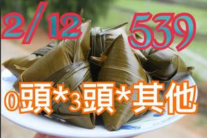 2/12今彩539參考看