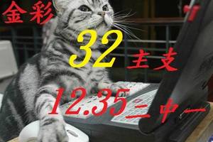 2/12今彩539參考看看>>>祝大家猴年賺大錢