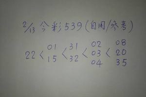 2/13今彩539參考看看>>>祝大家猴年賺大錢~天天開心過每一天