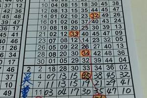 2/13六合彩版路參考看看