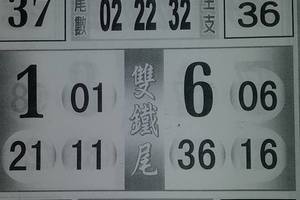 2/15今彩539參考看看