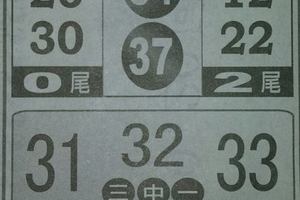 2/15今彩539參考看看