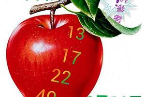 2/16香港六合彩參考看看