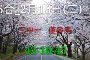 2/16香港六合彩參考看看